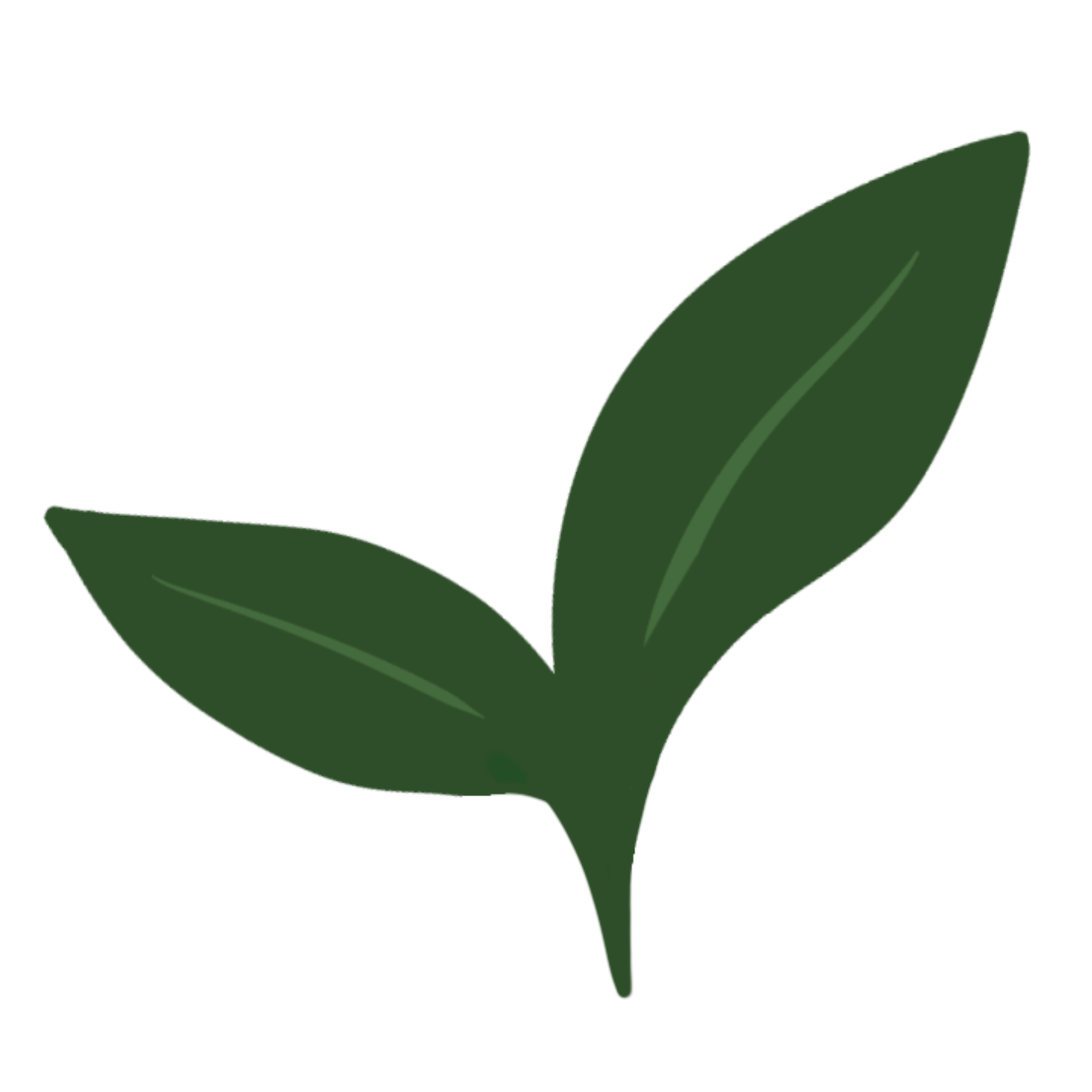 Fostered to Flourish